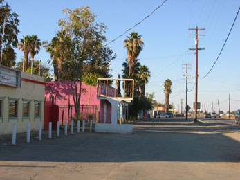 Weedpatch highway - mexican clubs on left hand side with empty concrete sign, tall palm trees and telegraph poles